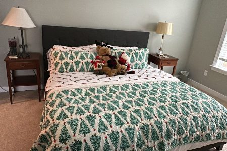 WhatsApp Image 2025-02-26 at 15.40.05